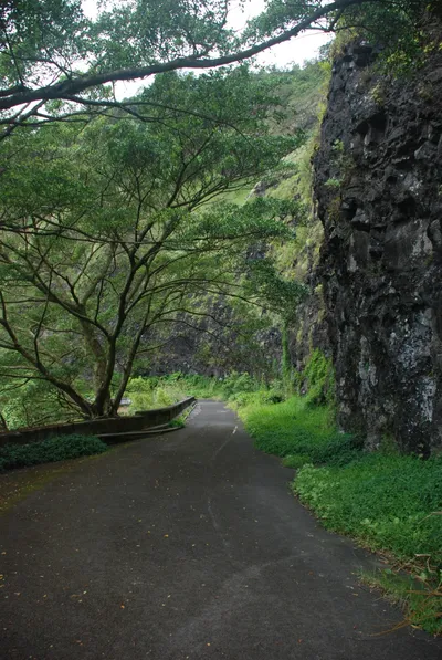 2007_05_31_HAWAII (138) (Large).JPG